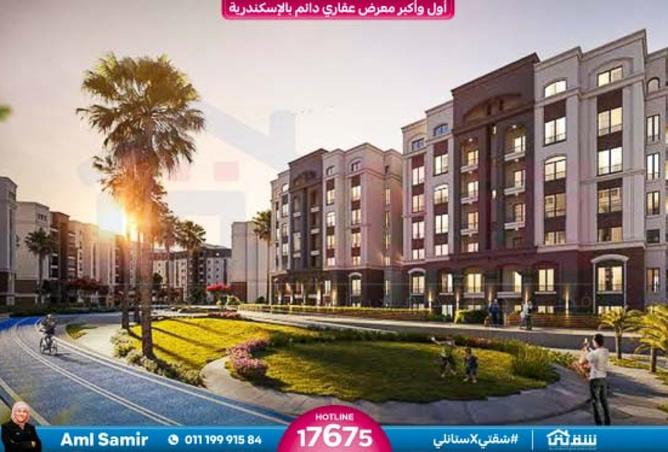 8339409 - Property Image 3