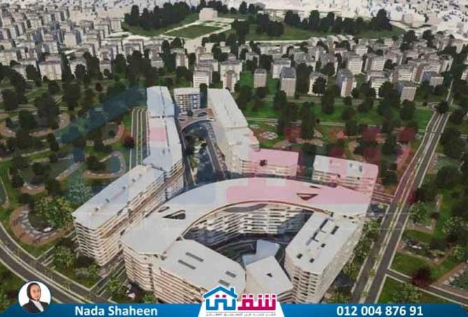 8154892 - Property Image 3