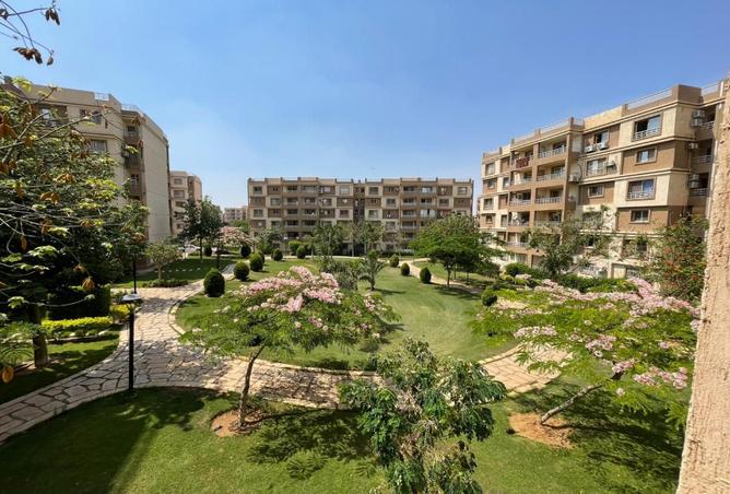 7987975 - صورة العقار 3