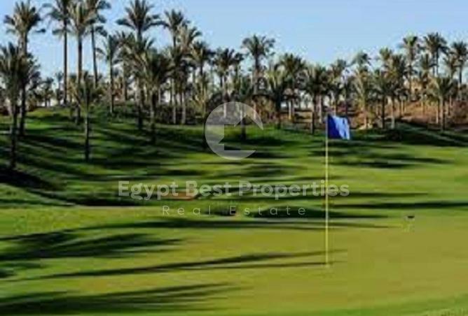 8074973 - Property Image 3