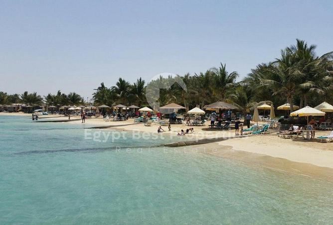 8195128 - Property Image 3