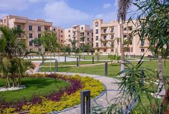 8472667 - Property Image 3