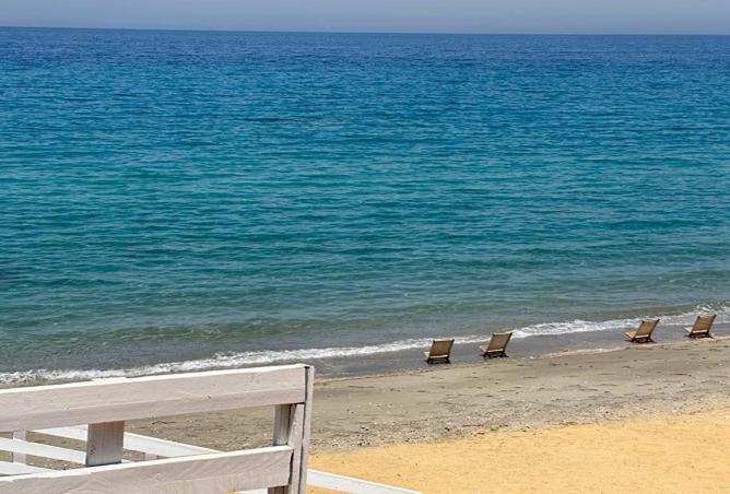 8168687 - صورة العقار 3