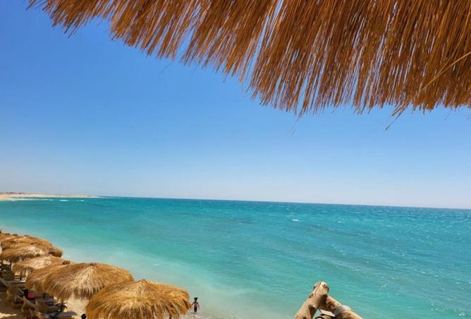 8348353 - صورة العقار 2