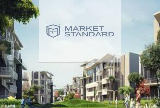 7714728 - Property Image 3