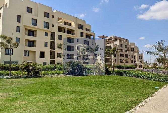 7979748 - Property Image 3