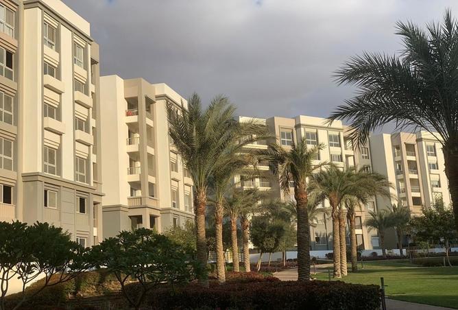 7981816 - الصورة الرئيسية للعقار
