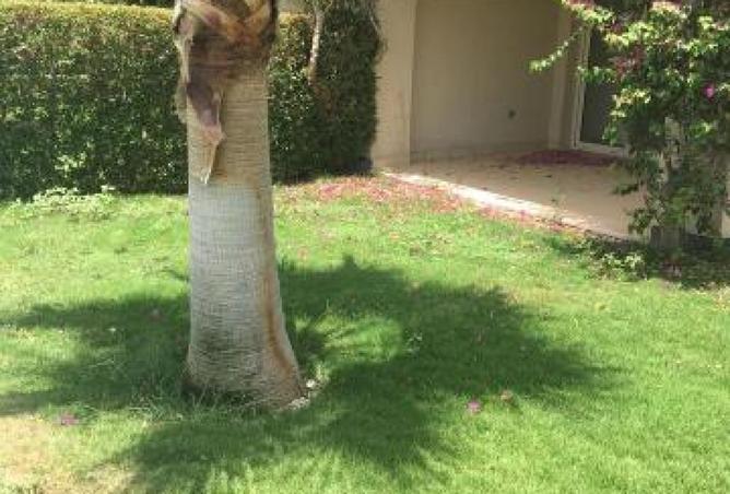 8349734 - صورة العقار 2