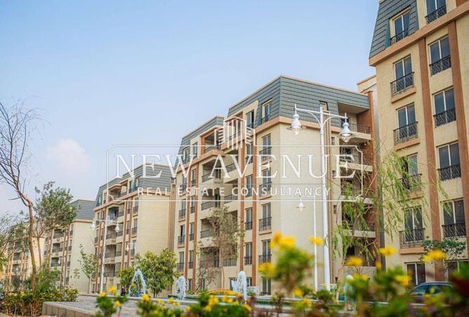8085785 - Property Image 3