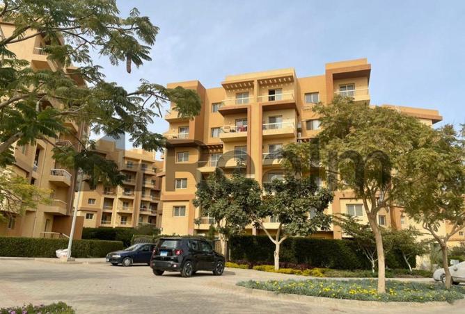 8243768 - Property Image 3