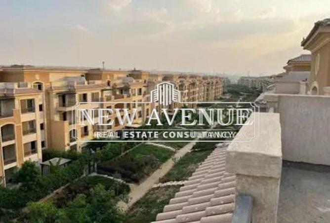 8362528 - Property Image 3