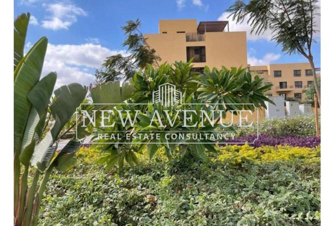 8216589 - صورة العقار 3