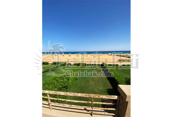 8197167 - Property Image 3