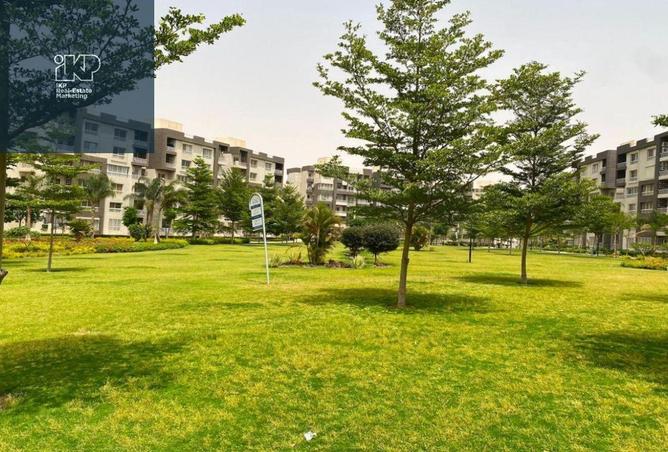 8285099 - Property Image 3