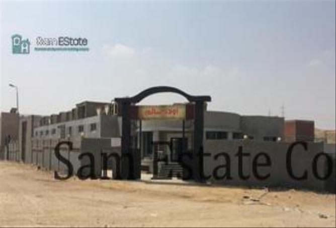 6090396 - صورة العقار 3