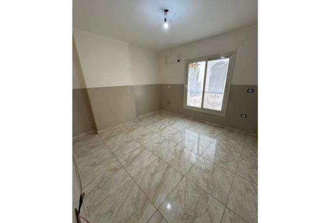 8441279 - Property Image 2