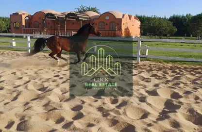 Farm - Studio for sale in Cairo Alexandria Desert Road - 6 October City - Giza