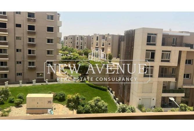 8193803 - Property Image 2