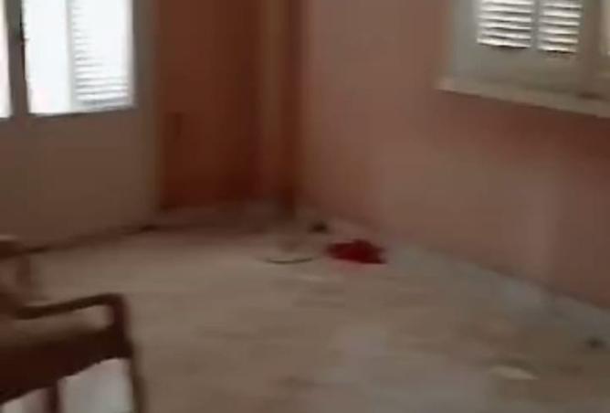 8352447 - Property Image 3