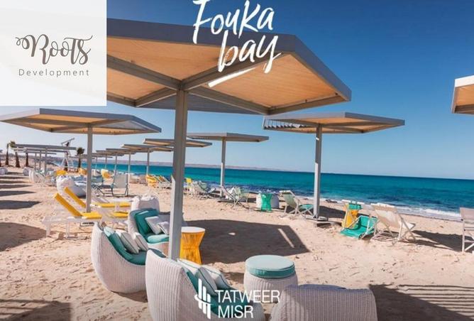 8272131 - صورة العقار 2