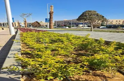 شقة - 2 غرف نوم - 2 حمامات للبيع في جنة اكتوبر - كمبوندات 6 أكتوبر - مدينة 6 أكتوبر - الجيزة