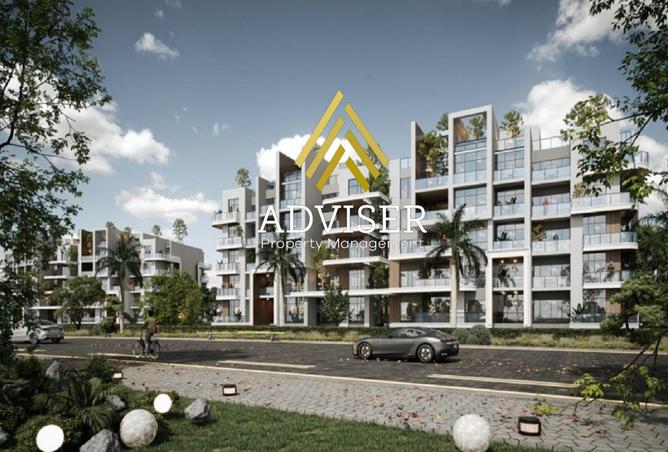 8068350 - Property Image 3
