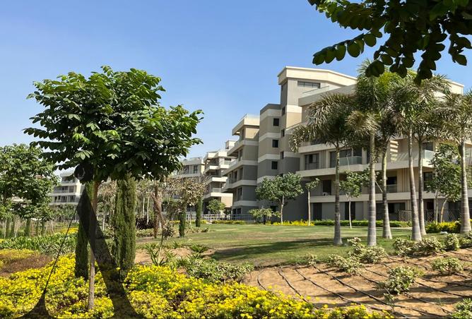 8282896 - Property Image 2