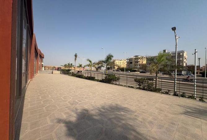 7968604 - Property Image 2