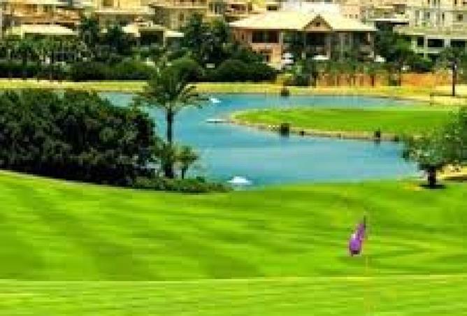 8324969 - Property Image 3