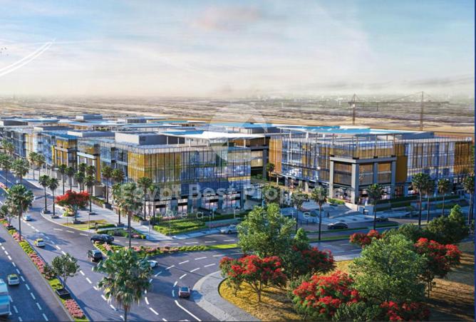 8179191 - Property Image 3