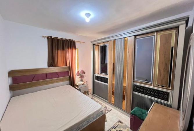 8296999 - Property Image 3