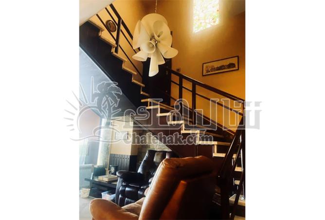 8190751 - Property Image 3