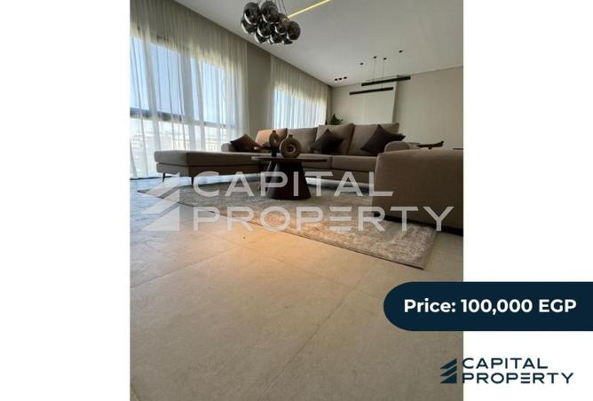8135849 - Property Image 2