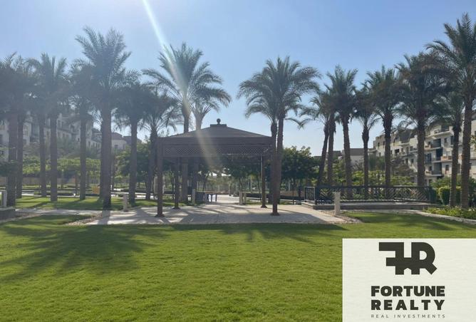 8341246 - Property Image 3