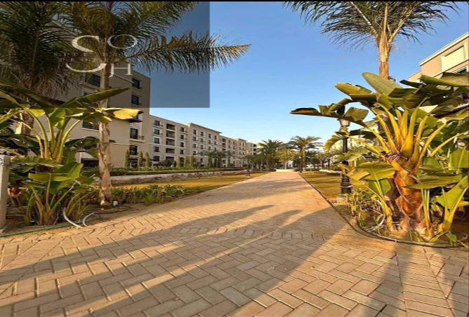 7987764 - Property Image 2