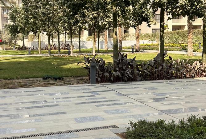 8558917 - صورة العقار 2