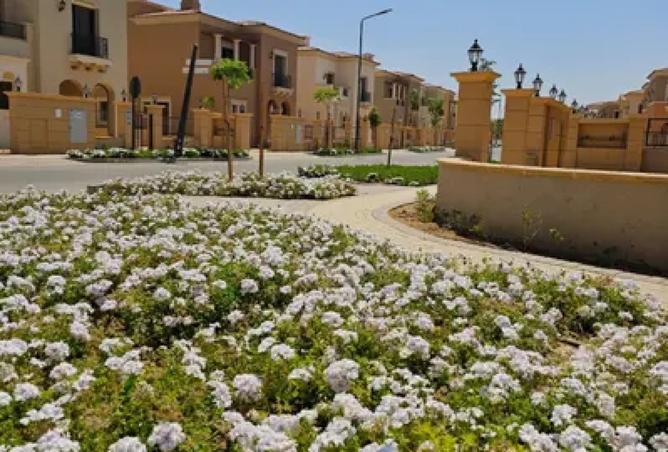 7907127 - صورة العقار 3