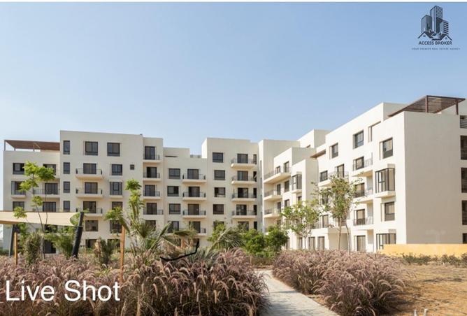 8035390 - Property Image 3