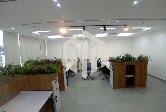 8091837 - Property Image 3