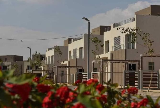 8462001 - صورة العقار 3