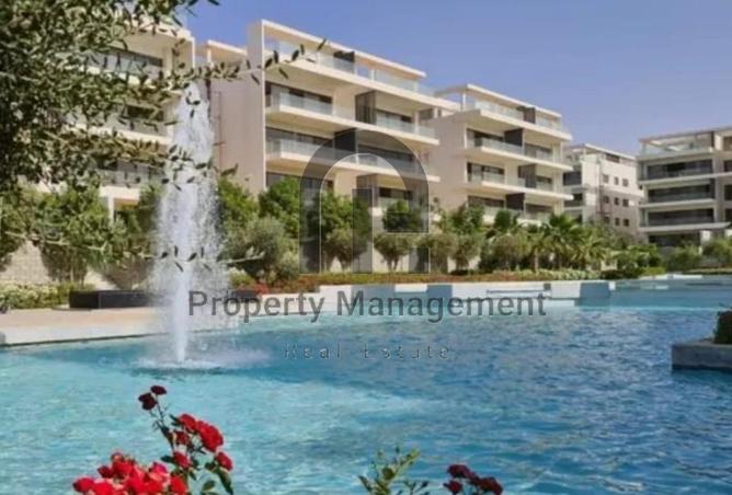 8334383 - Property Image 3