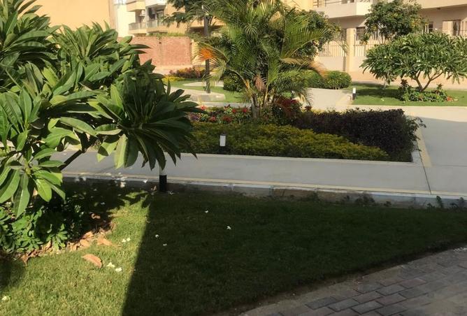 8544444 - Property Image 3