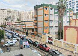 شقة - 3 غرف نوم - 2 حمامات for للايجار in شارع توت عنخ امون - سموحة - حي شرق - الاسكندرية