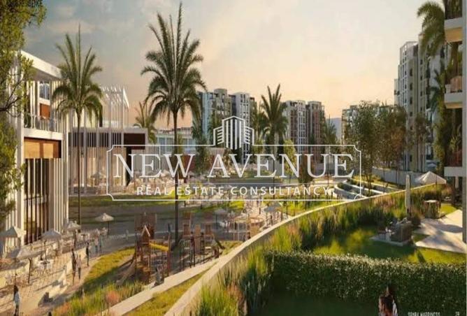 8088639 - Property Image 2