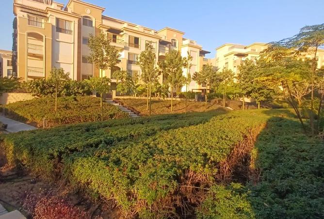 8507346 - Property Image 3