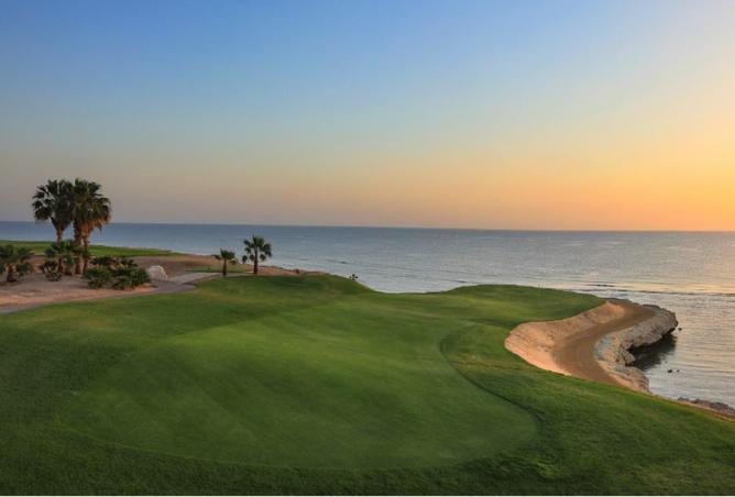 7988757 - Property Image 2