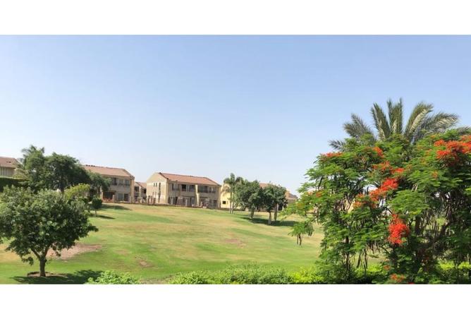 8008499 - الصورة الرئيسية للعقار