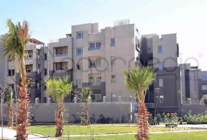 8433626 - Property Image 3