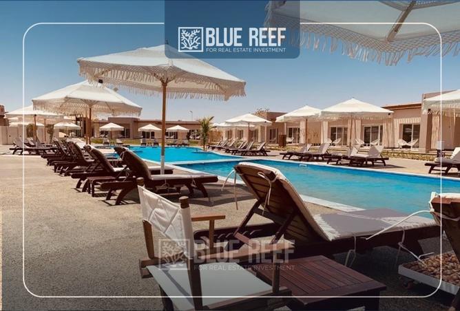 8259544 - Property Image 3