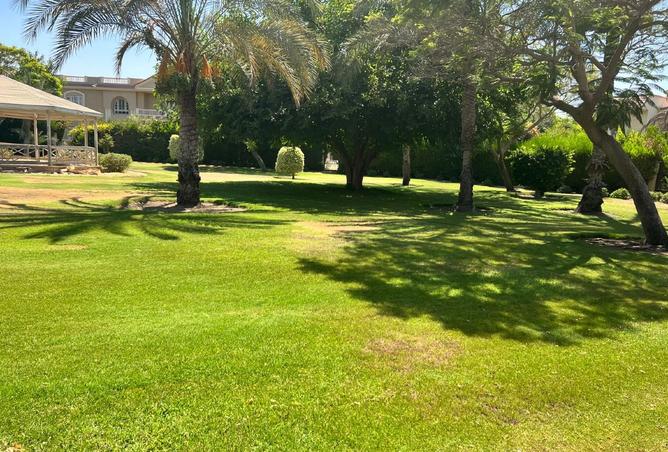 8506366 - Property Image 3